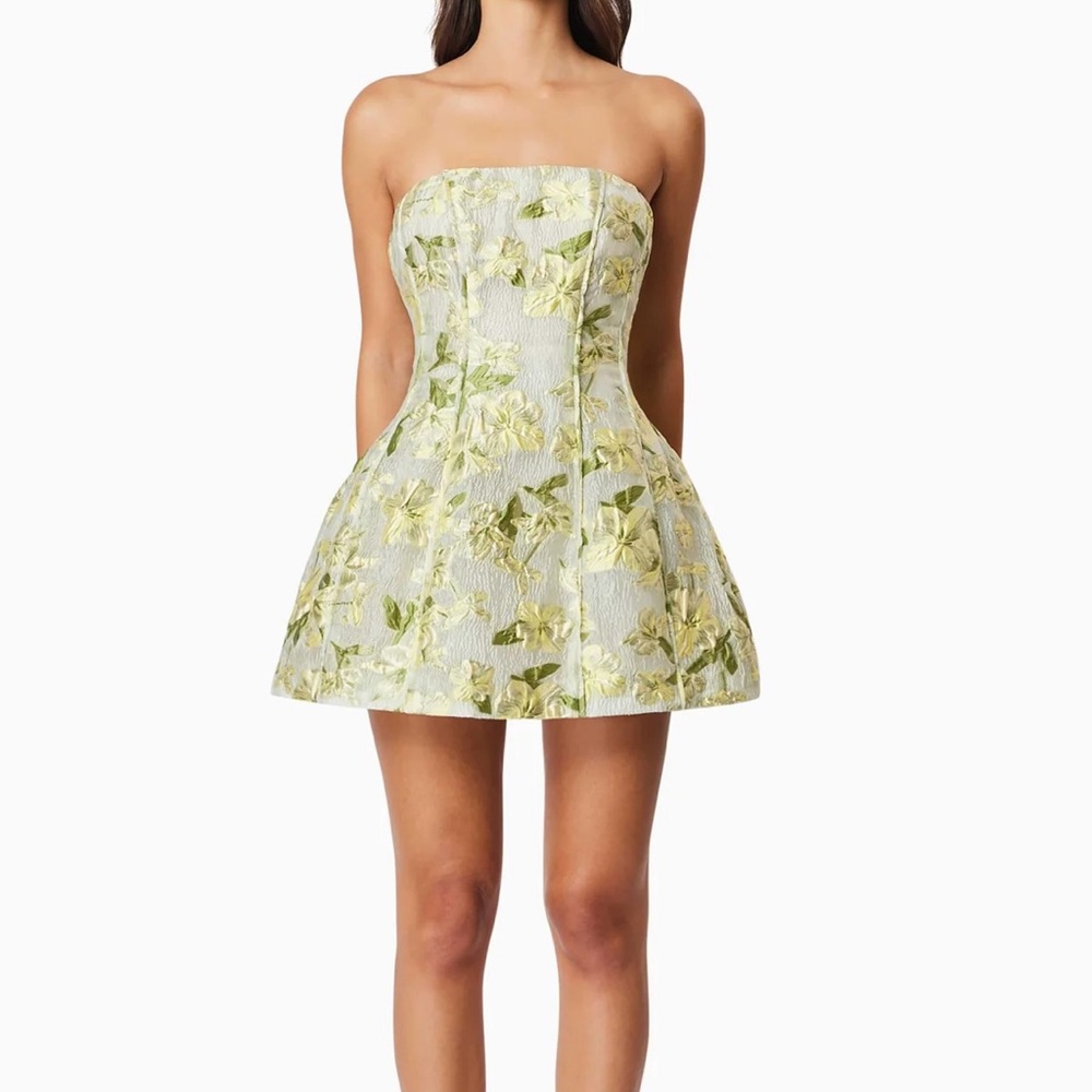 ISO!!!! Elliatt Jacquard Darner Floral Strapless Dress - Green and Yellow